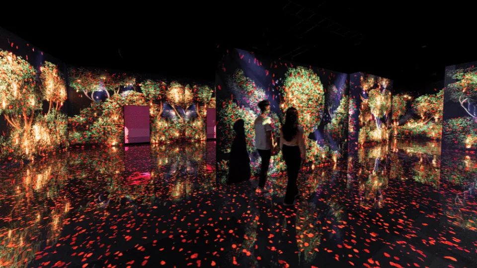 ARTE Museum + House Of Hype – Combo - Image 1