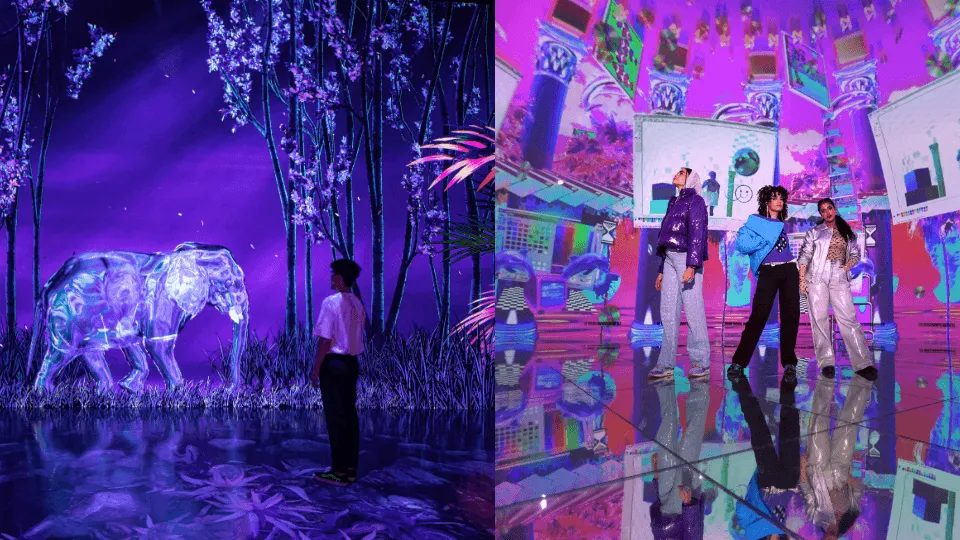 ARTE Museum + House Of Hype &#8211; Combo - Image 1